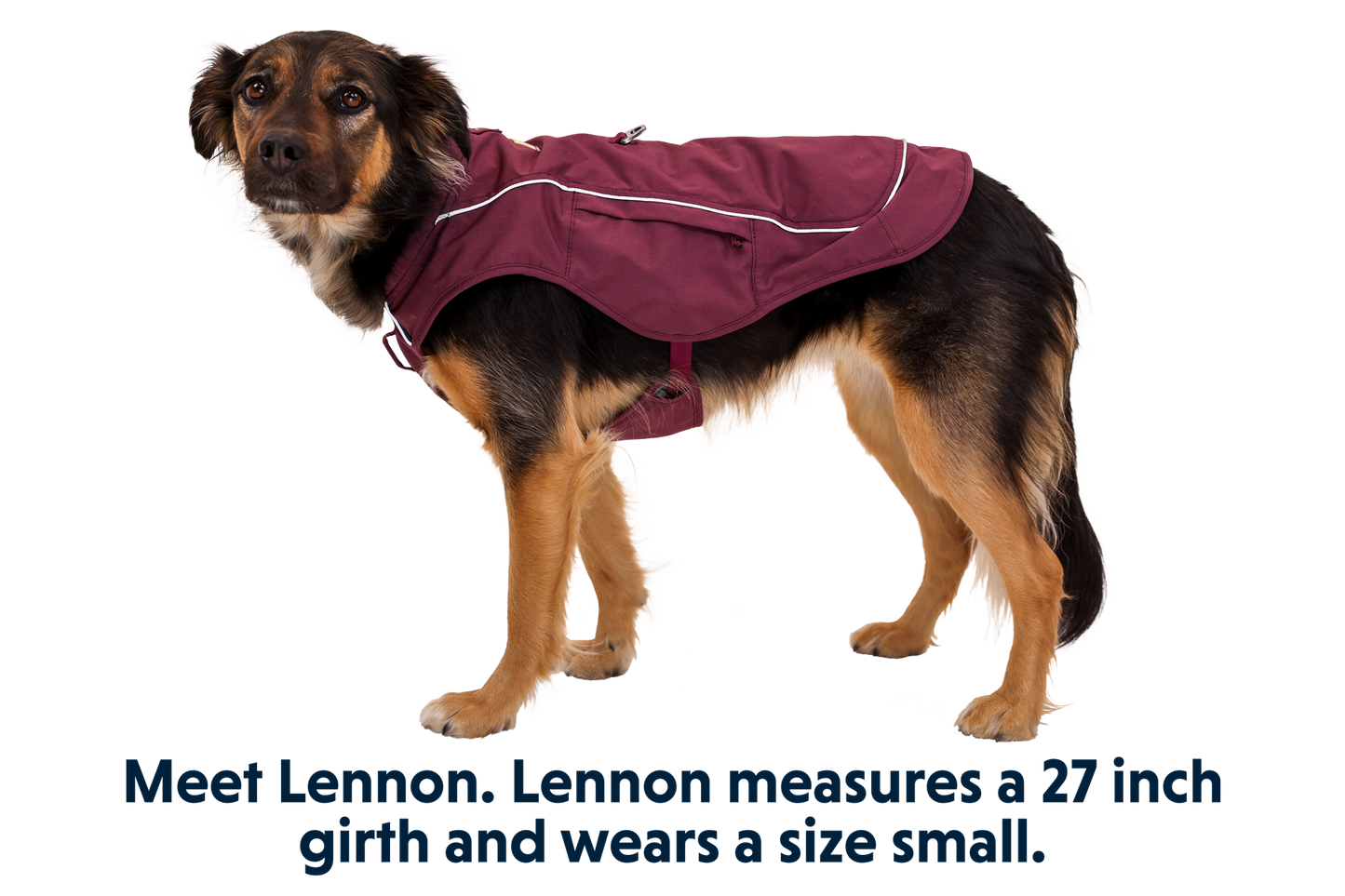 Overcoat Fuse™ Dog Vest
