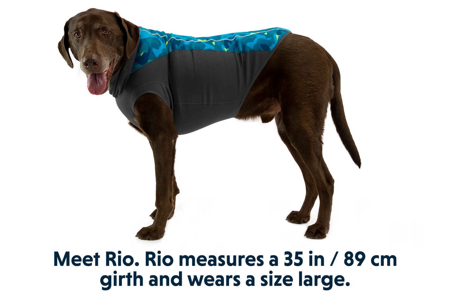 Climate Changer™ Dog Fleece Pullover
