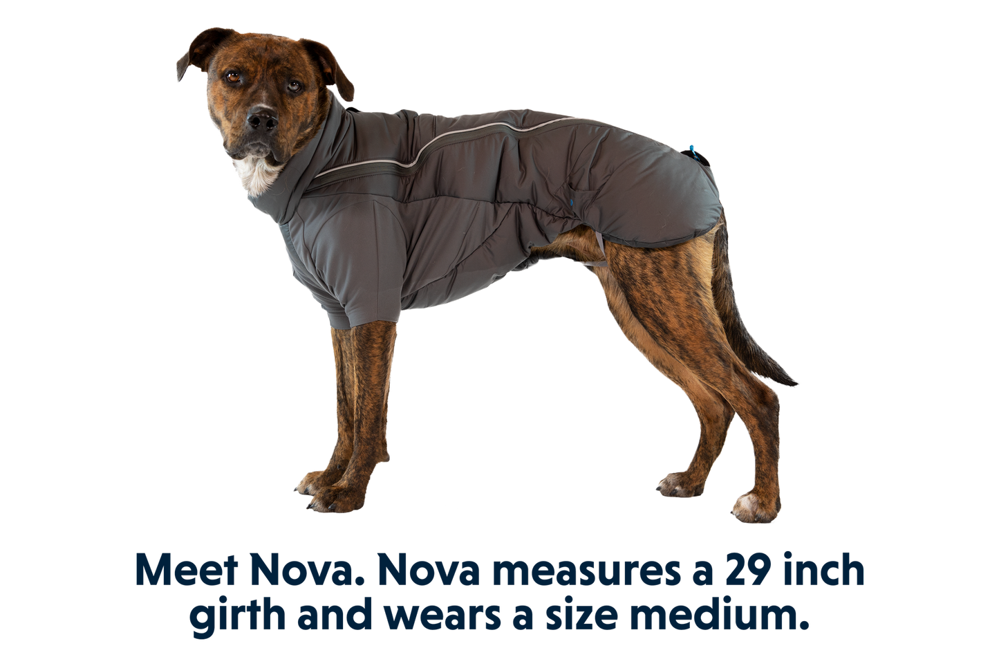 Furness™ Dog Jacket