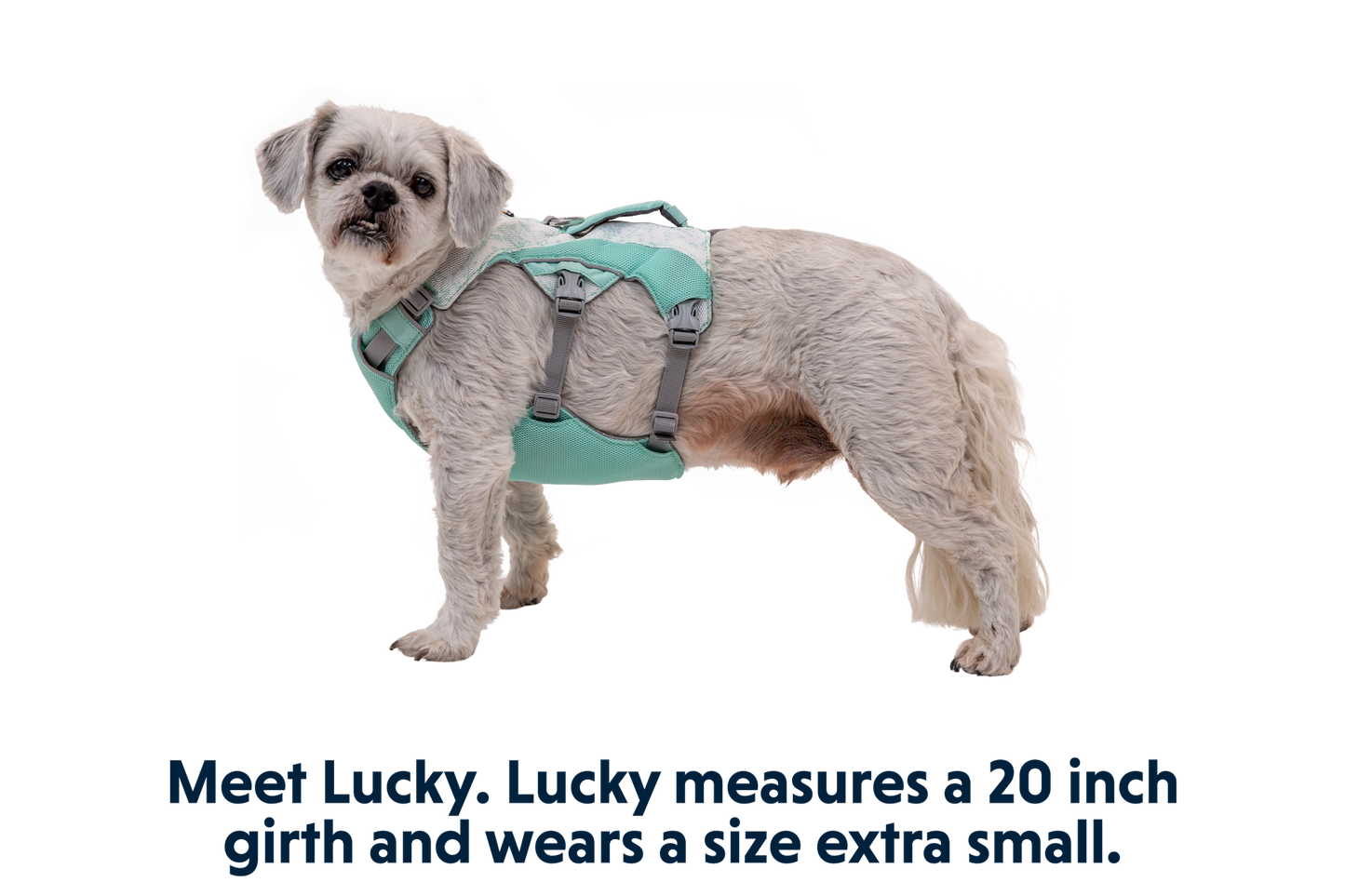 Swamp Cooler™ Harness