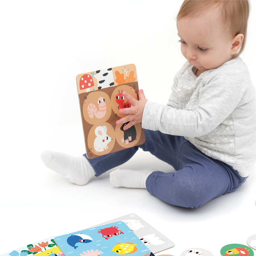 Banana Panda Habitat Bingo Game