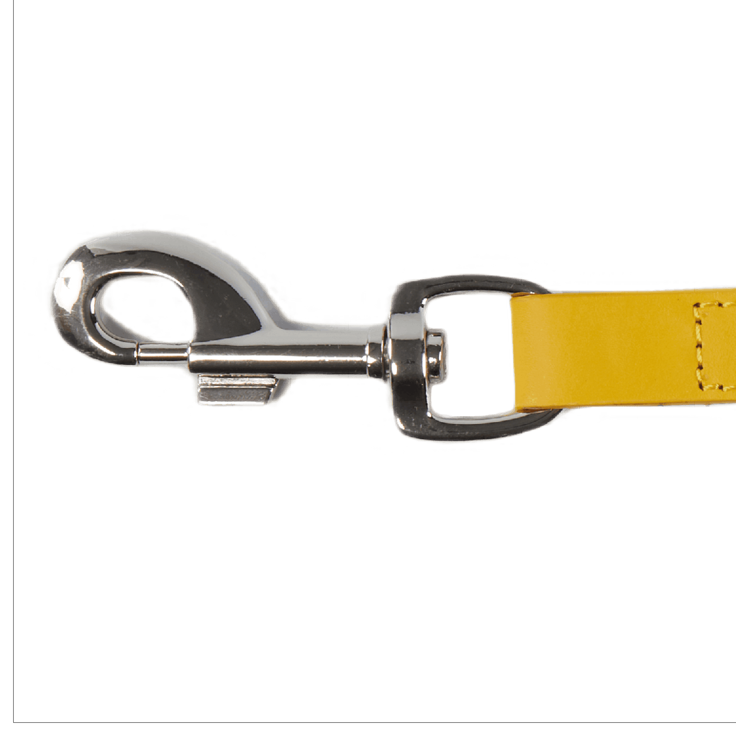 Baker & Bray Sustainable Designer Leather Dog Lead | Lemon