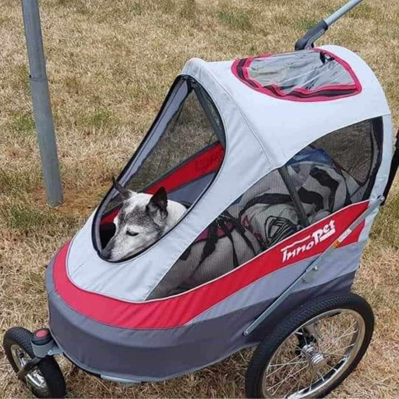 InnoPet Dog Stroller Leash Set of 3
