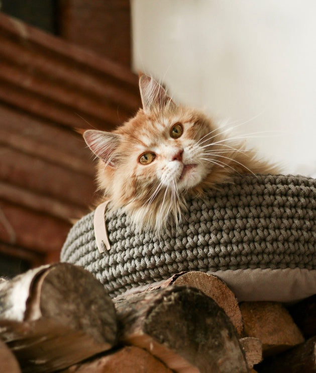 Labbvenn COCO Pet Bed