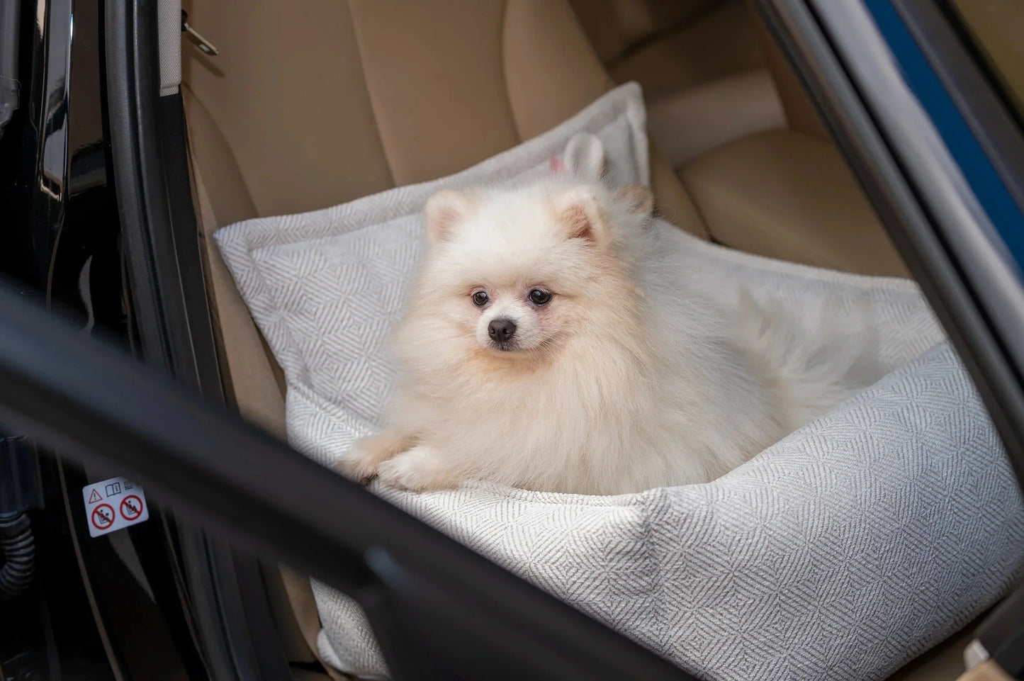 Oh Charlie Dog Car Seat Bed Florence