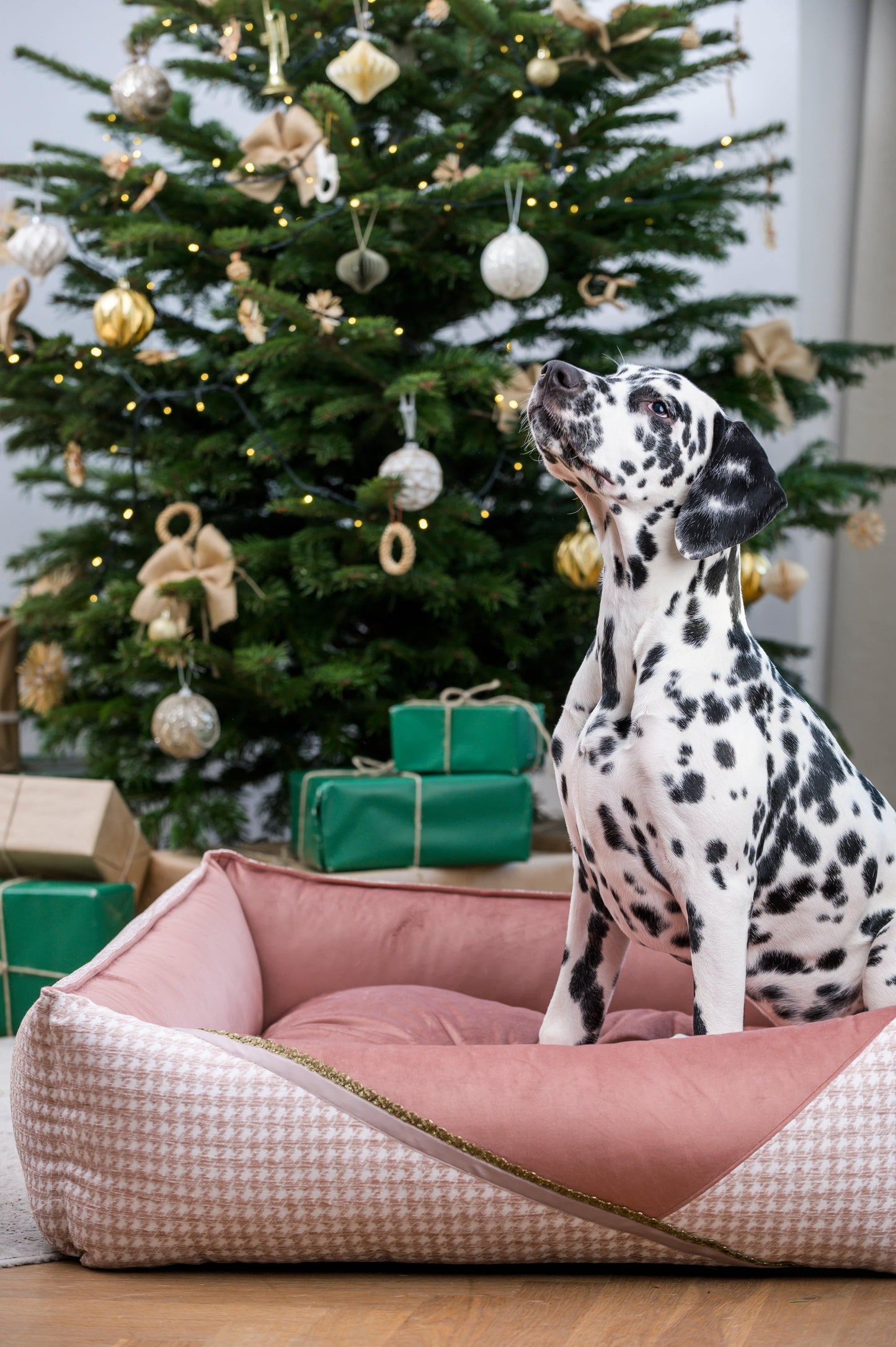Oh Charlie Square Dog Bed Glamour Deluxe