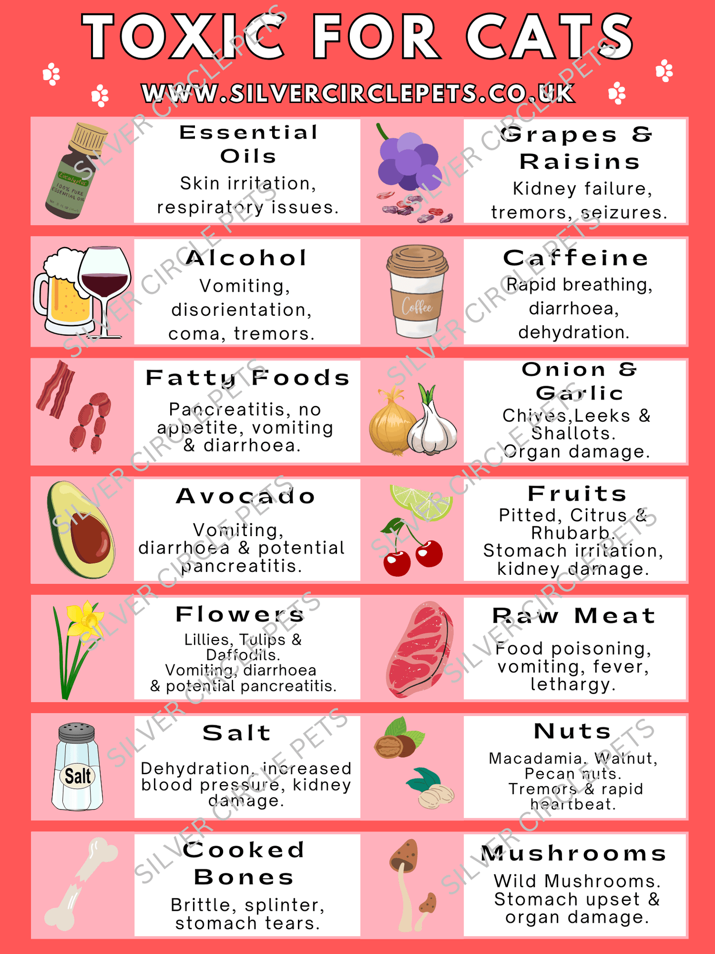 Silver Circle Pets Toxic Foods for Cats Fridge Magnet | Free Delivery