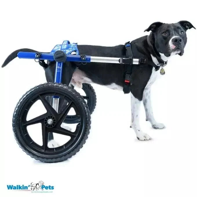 Walkin Wheels® - Buddy Up Rear Harness