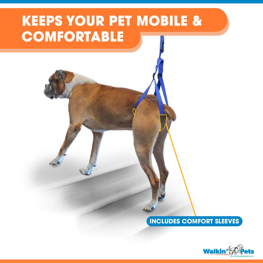 Walkin’ Wheels - Up-n-Go Leash
