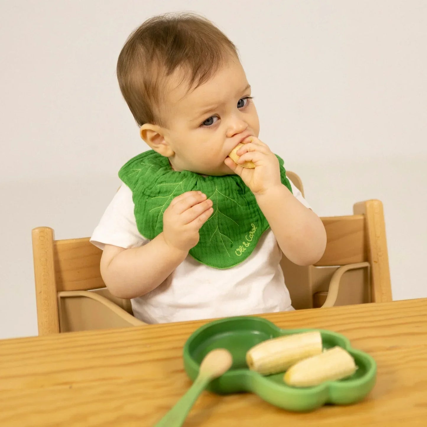 Oli&Carol Kendall the Kale Feeding Bib
