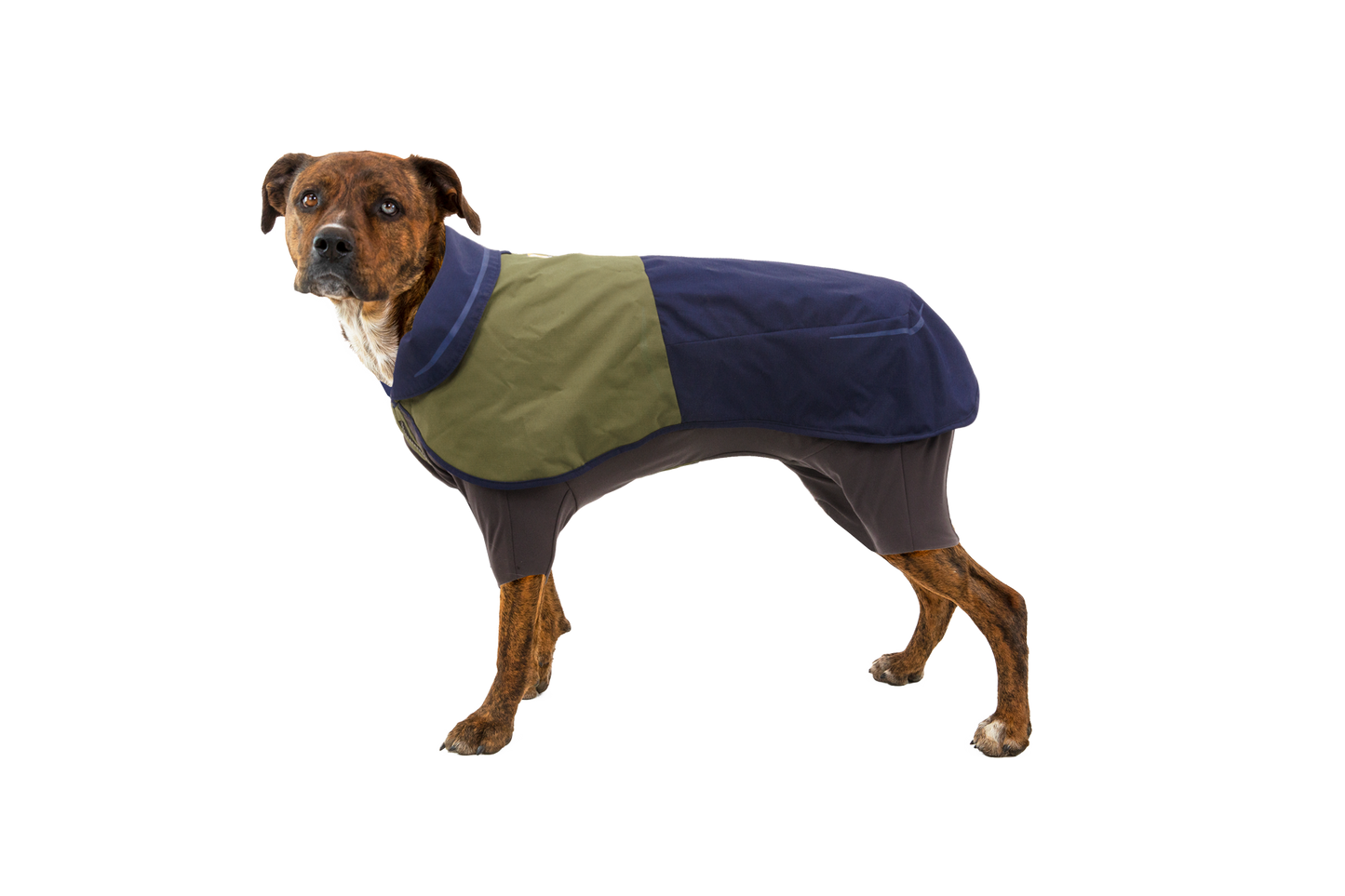 Sun Shower™ Coverall Dog Rain Suit