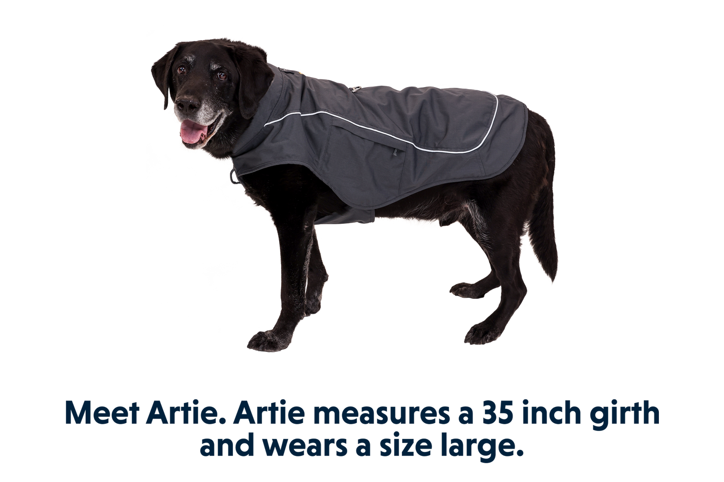 Overcoat Fuse™ Dog Vest