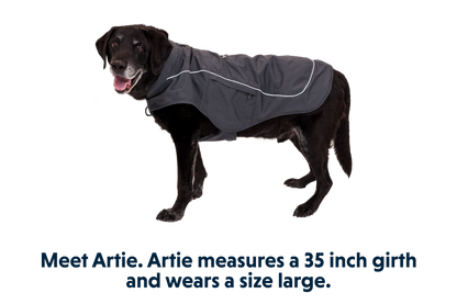 Overcoat Fuse™ Dog Vest