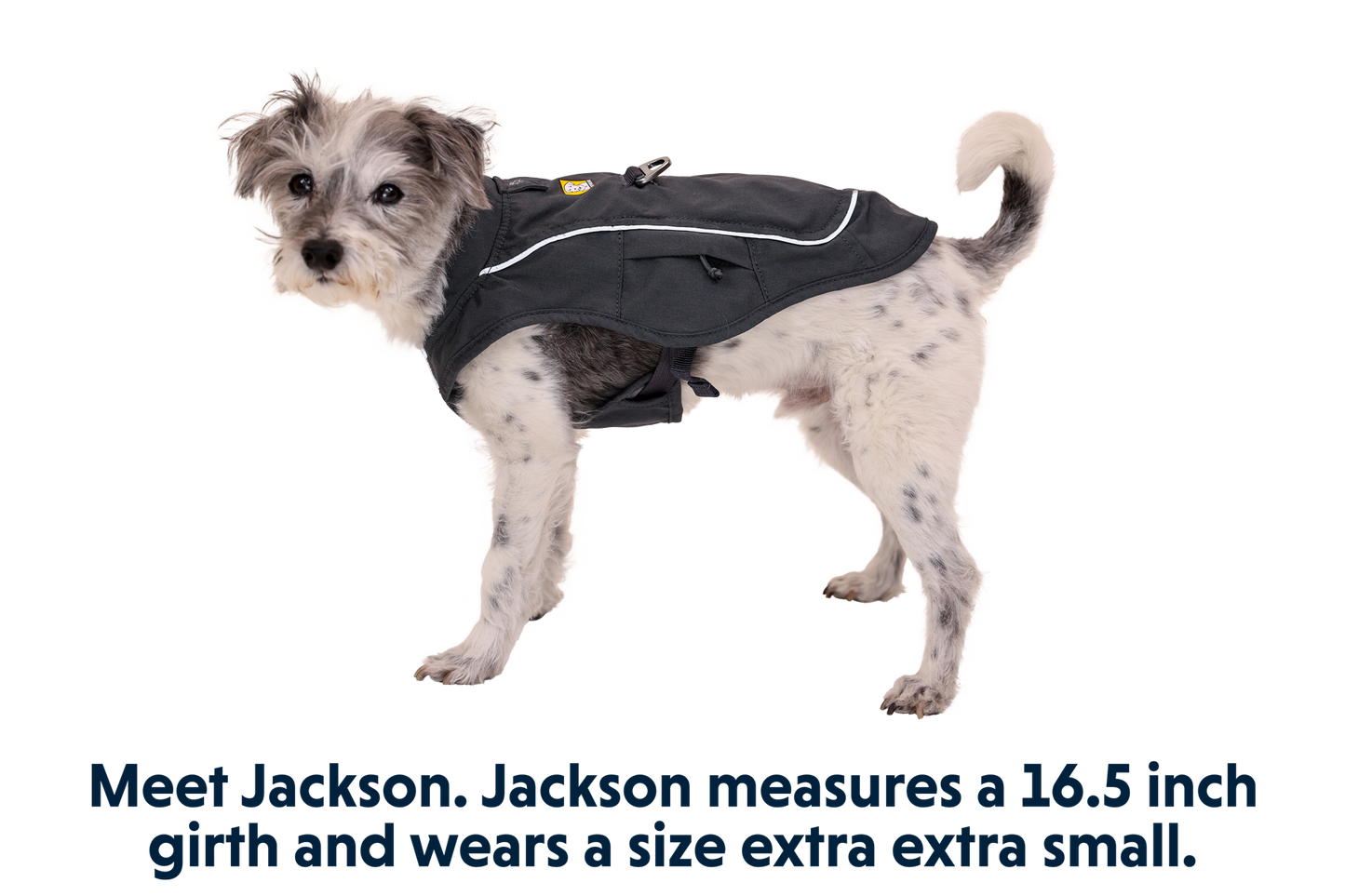 Overcoat Fuse™ Dog Vest