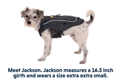 Overcoat Fuse™ Dog Vest