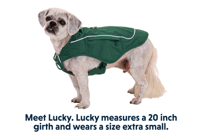 Overcoat Fuse™ Dog Vest