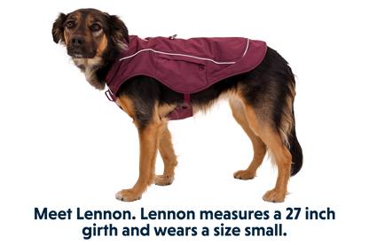 Overcoat Fuse™ Dog Vest