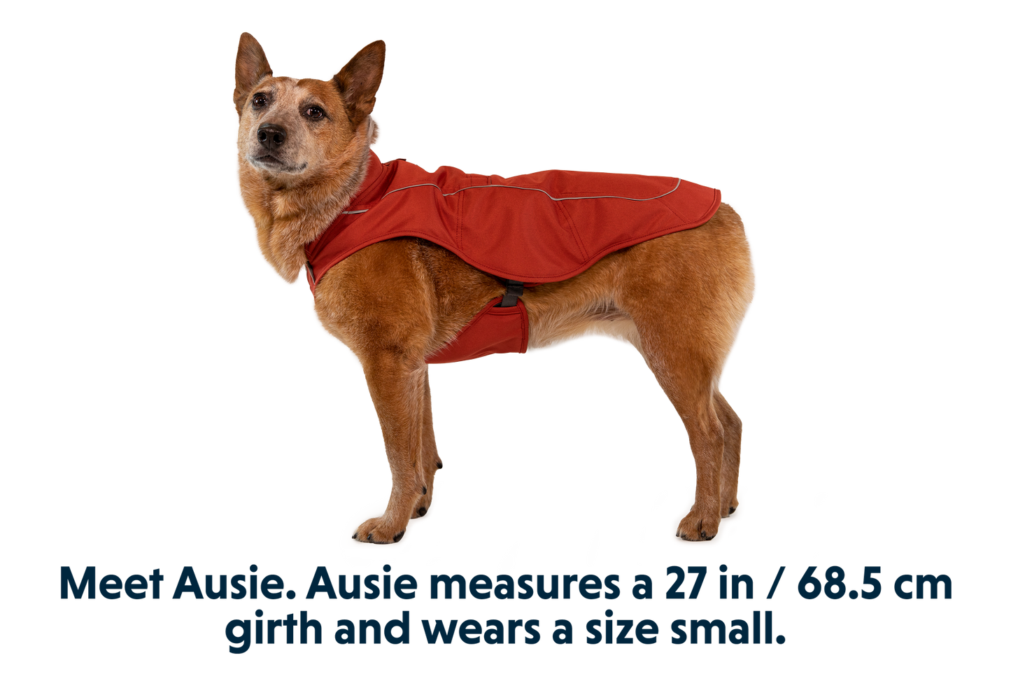 Overcoat™ Dog  Jacket