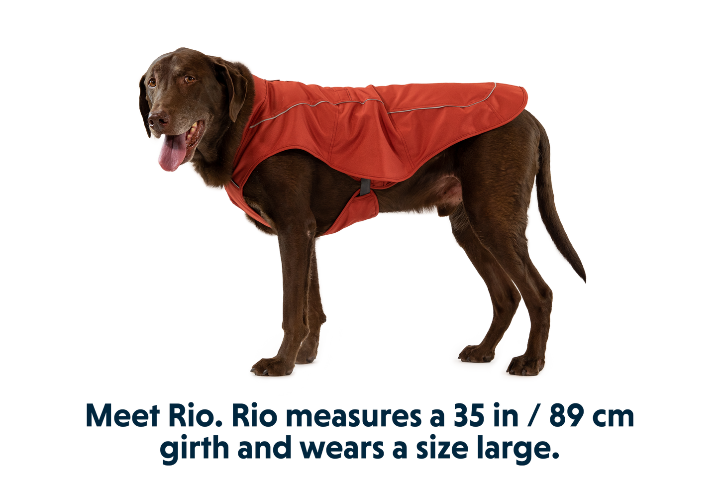 Overcoat™ Dog  Jacket