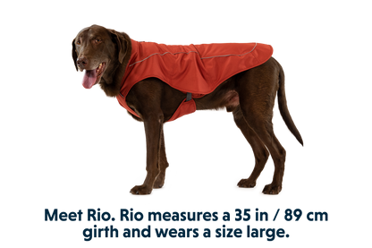 Overcoat™ Dog  Jacket