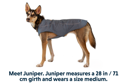 Overcoat™ Dog  Jacket