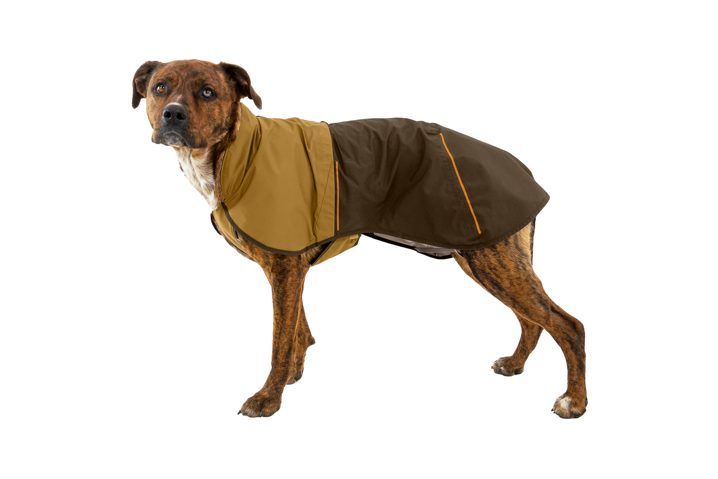 Sun Shower™ Dog Raincoat