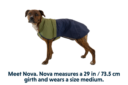 Sun Shower™ Dog Raincoat