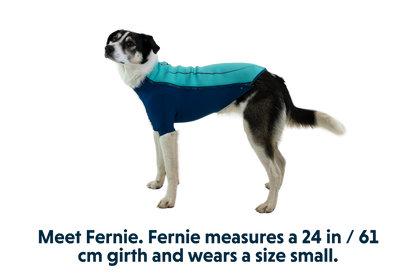 Undercoat™ Dog Water Jacket
