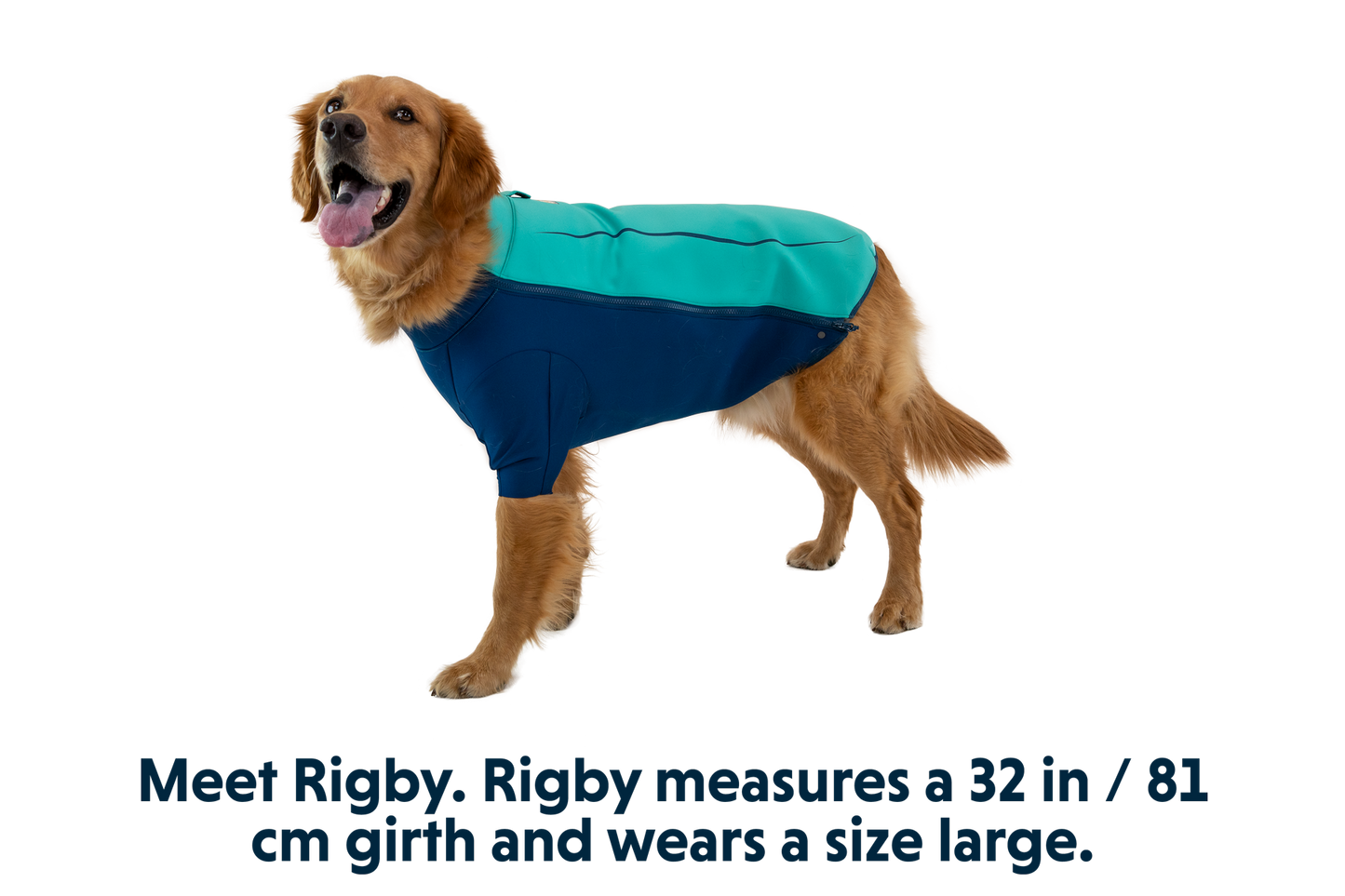 Undercoat™ Dog Water Jacket