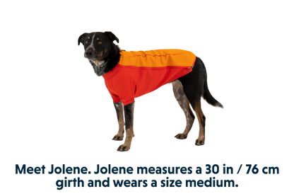 Undercoat™ Dog Water Jacket