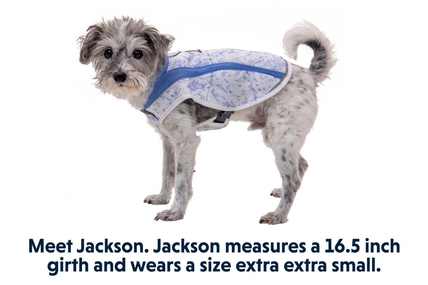 Swamp Cooler™ Cooling Dog Vest