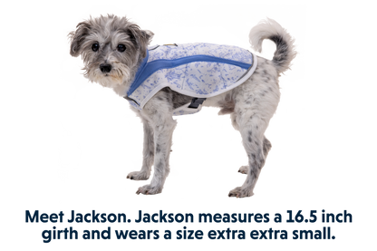 Swamp Cooler™ Cooling Dog Vest