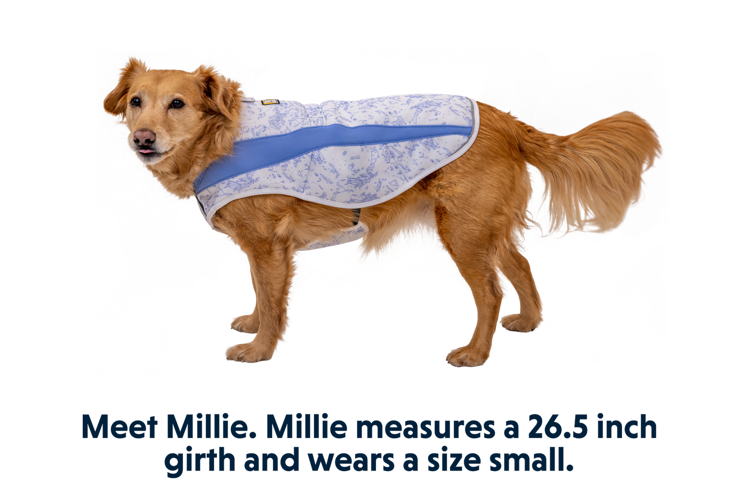 Swamp Cooler™ Cooling Dog Vest