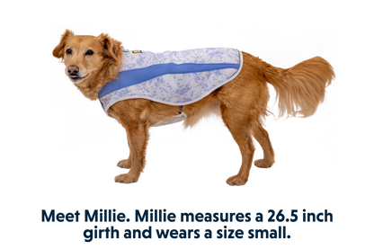Swamp Cooler™ Cooling Dog Vest