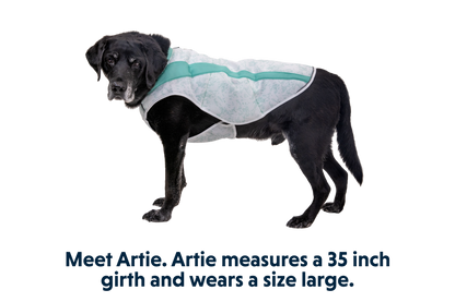 Swamp Cooler™ Cooling Dog Vest