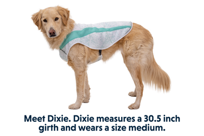 Swamp Cooler™ Cooling Dog Vest