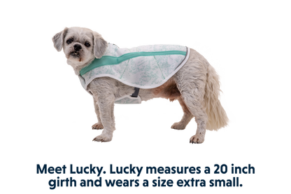 Swamp Cooler™ Cooling Dog Vest