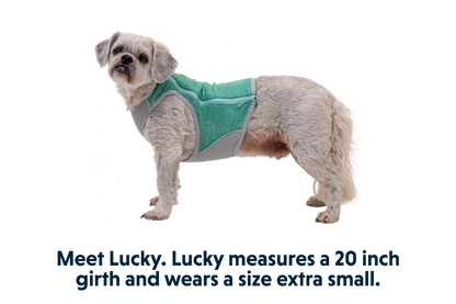 Swamp Cooler Zip™