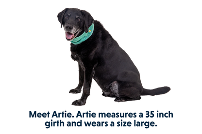 Swamp Cooler™ Neck Gaiter
