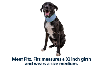 Swamp Cooler™ Neck Gaiter
