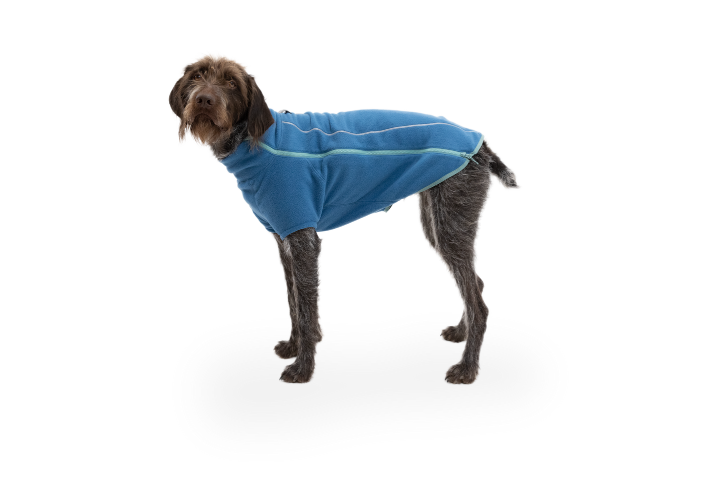 Climate Changer™ Dog Fleece