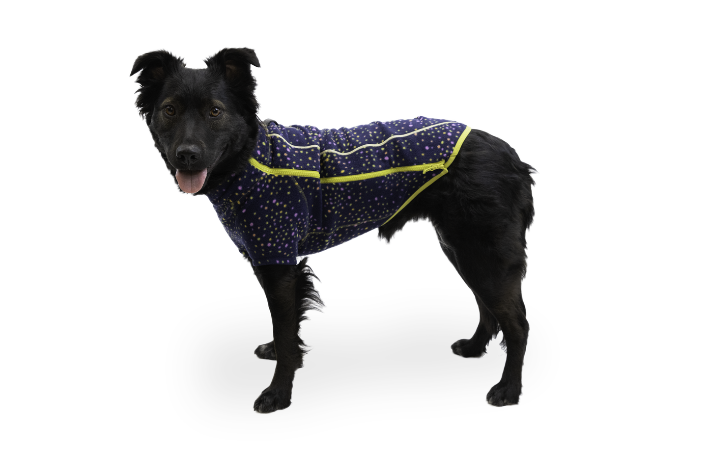 Climate Changer™ Dog Fleece