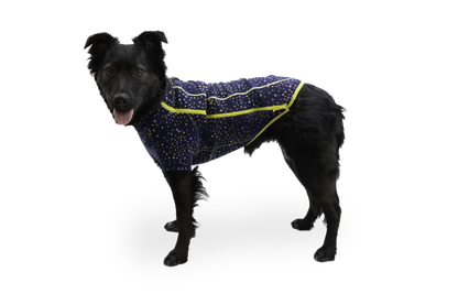 Climate Changer™ Dog Fleece