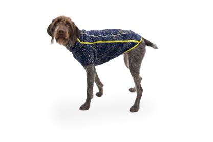 Climate Changer™ Dog Fleece