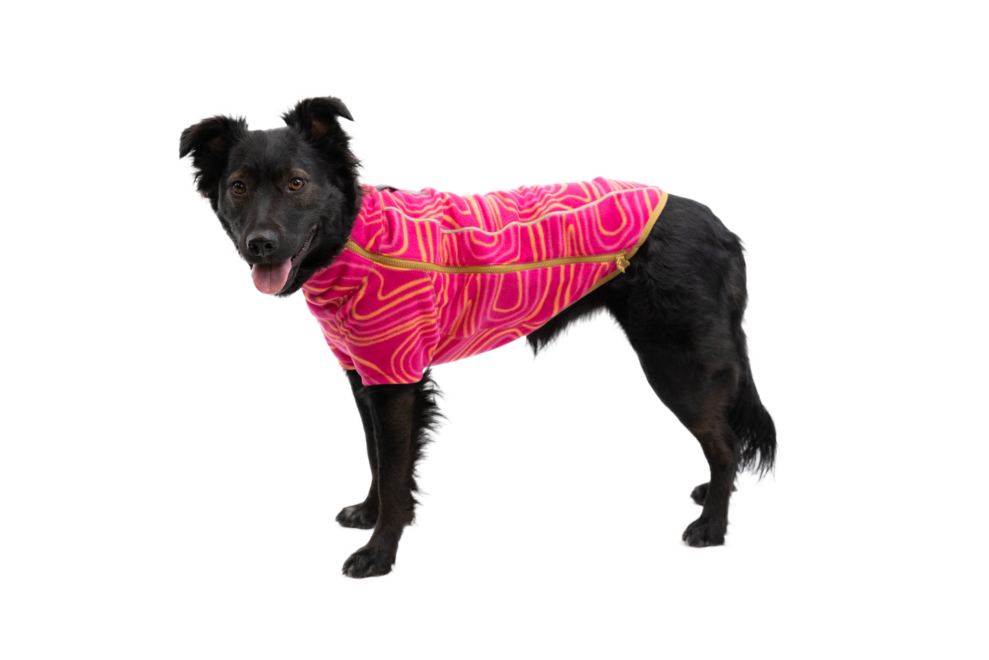 Climate Changer™ Dog Fleece