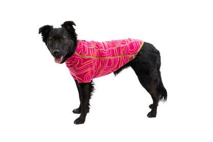 Climate Changer™ Dog Fleece
