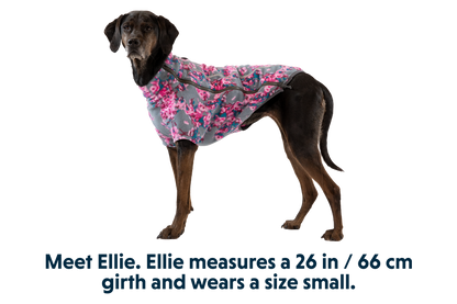 Climate Changer™ Dog Fleece
