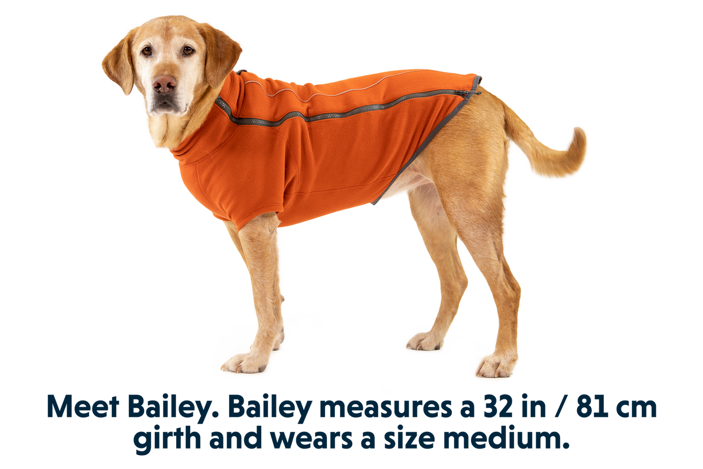 Climate Changer™ Dog Fleece