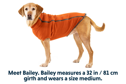 Climate Changer™ Dog Fleece
