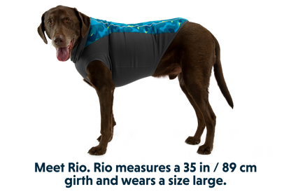 Climate Changer™ Dog Fleece Pullover
